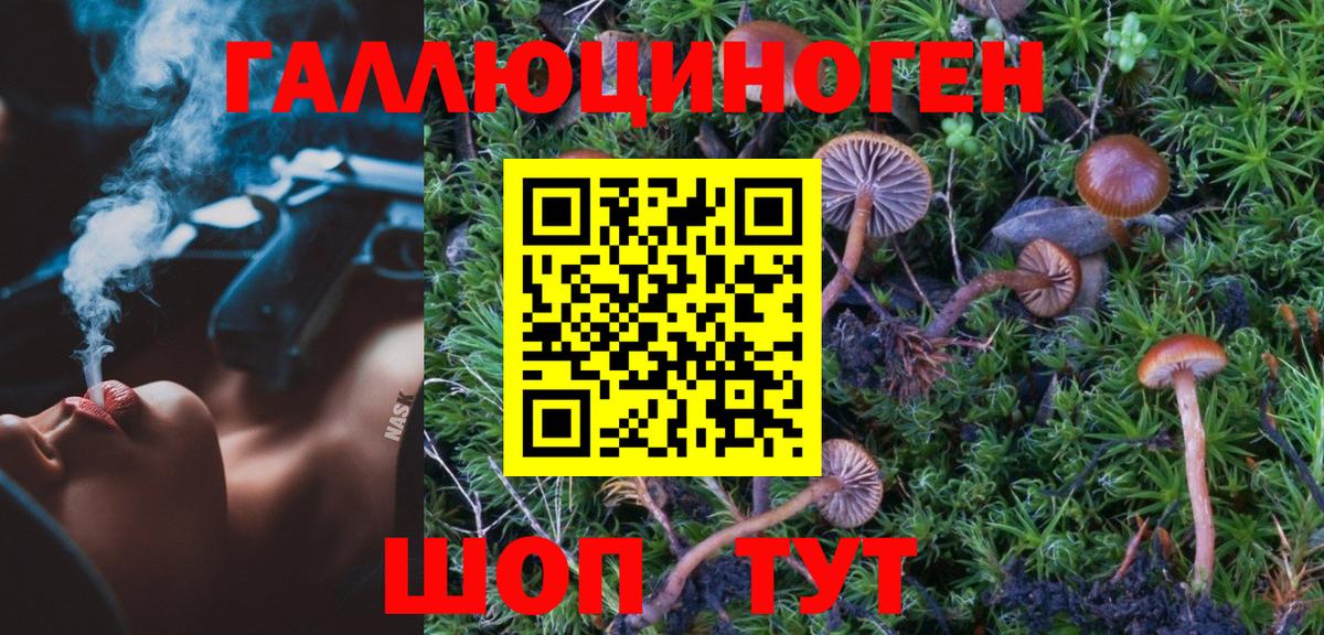 Псилоцибиновые грибы Cubensis Ревда