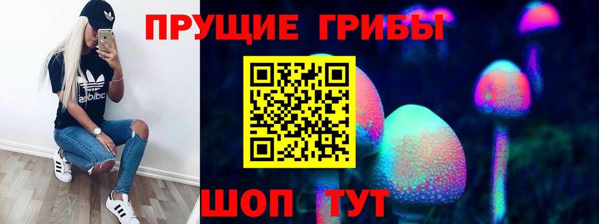 Галлюциногенные грибы Psilocybe  Вход с VPN  Ревда 